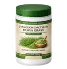 Cyanodon dactylon Durva grass